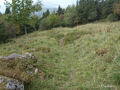 La chaume laisse vite place à la forêt dès qu'on commence à redescendre